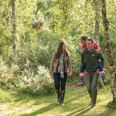 Kiltarlity Lodges Belladrum Екстериор снимка