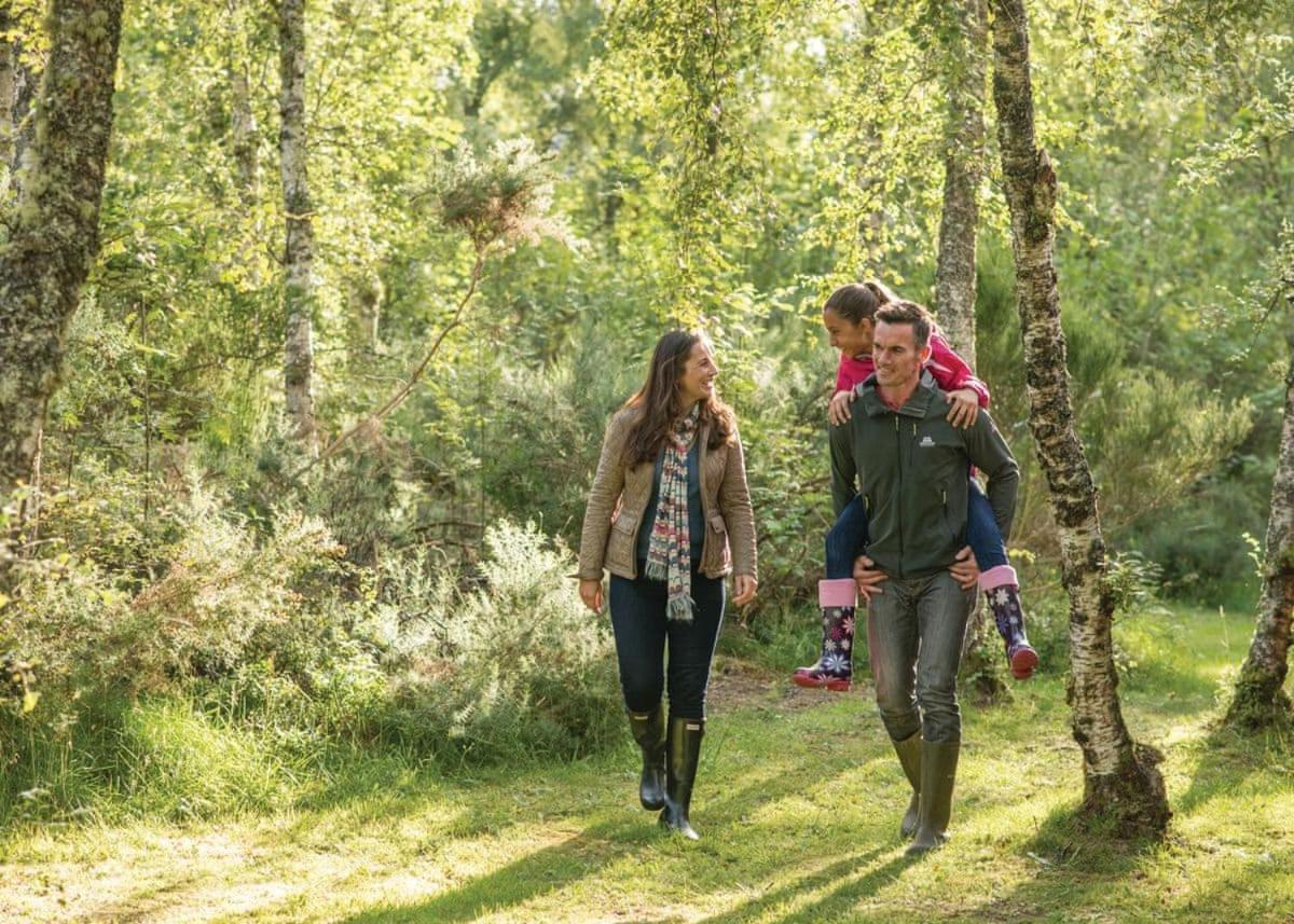 Kiltarlity Lodges Belladrum Екстериор снимка